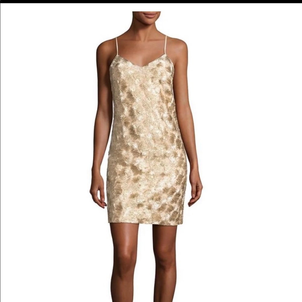 Trina Turk Dress